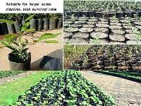 Poly Nursery Sapling Bags 